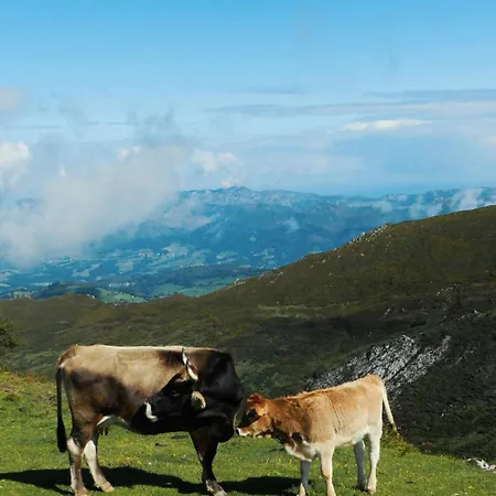 Casa Marian Landhaus Dego