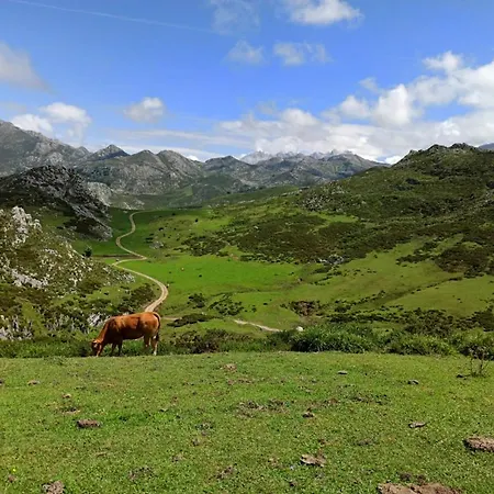 Landhaus Casa Marian