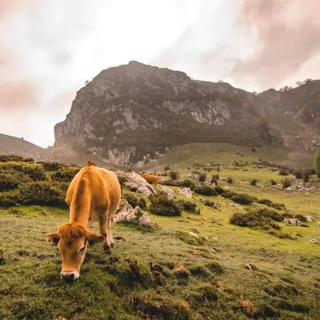 Casa Marian Landhaus